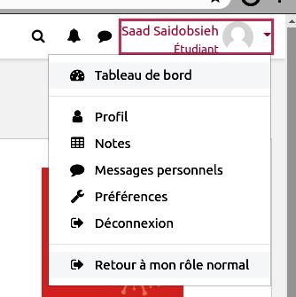 prendre_role_3.png prendre_role_3.png