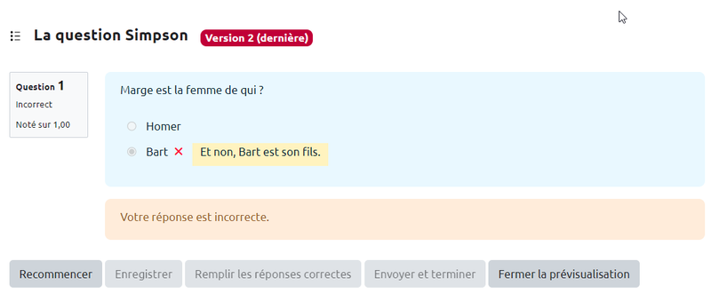 visualisationessai2questionchoixmultiple.png visualisationessai2questionchoixmultiple.png