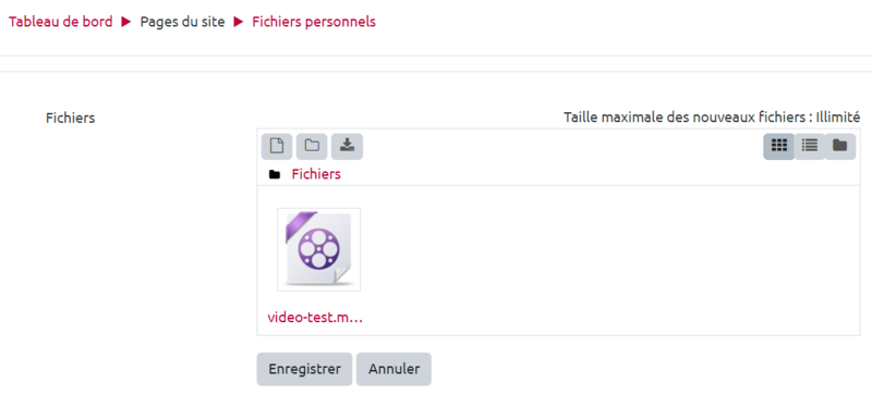 fichiers-perso3.png fichiers-perso3.png