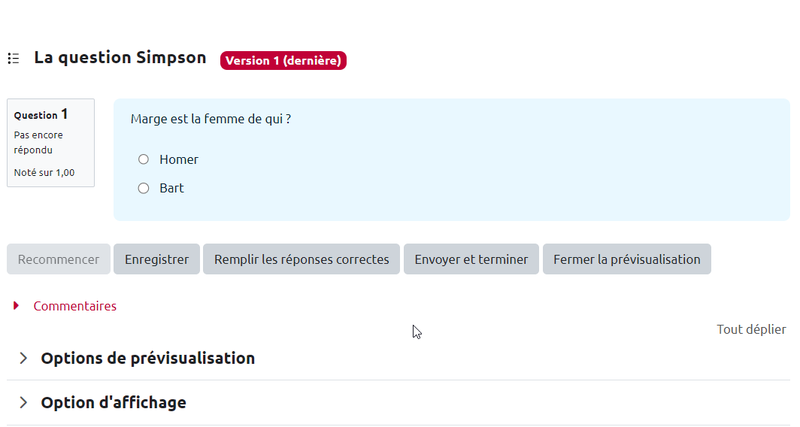 visualisationquestionchoixmultiple.png visualisationquestionchoixmultiple.png