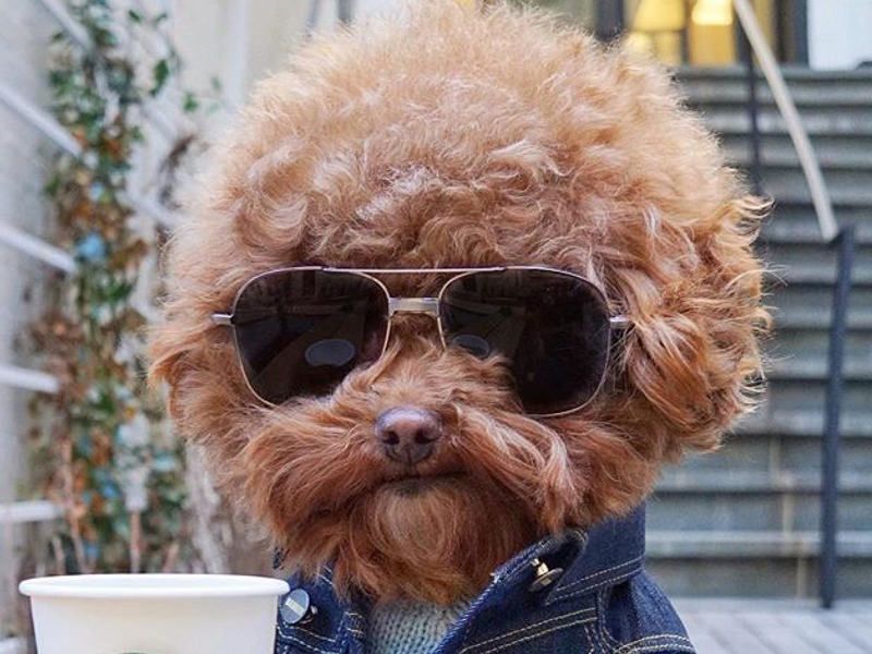 20190408-114919.png 20190408-114919.png