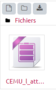 playground:capture_fichier.png