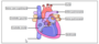 moodle:test:choix_questions:glisser-deposer_sur_image_18.png