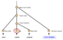 mahara:mahara_expected_history-1.png