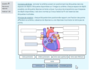 moodle:test:choix_questions:glisser-deposer_sur_image_26.png