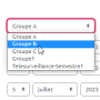 devoirmenuderogationchoixgroupe.png