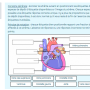 glisser-deposer_sur_image_24.png